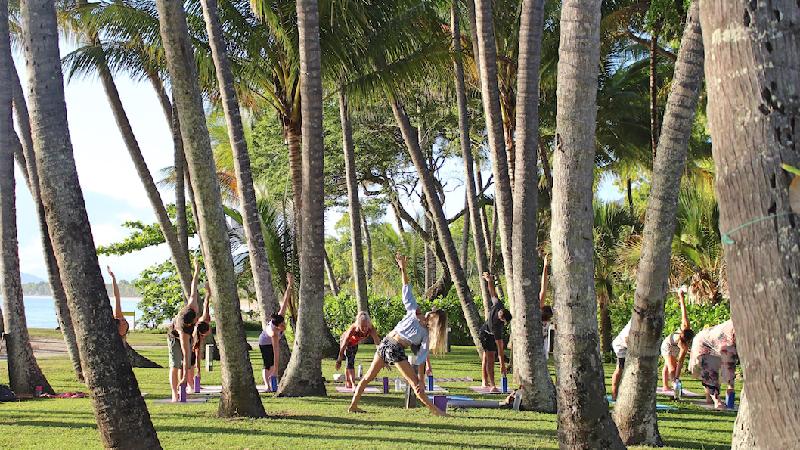 Beach Yoga Classes in Tropical Paradise - Palm Cove, Cairns. A Unique Chance to Unwind and Loosen tensions from the Body, Mind and Soul in a World Class setting.